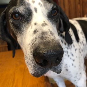 Meet your Posher, Leeann